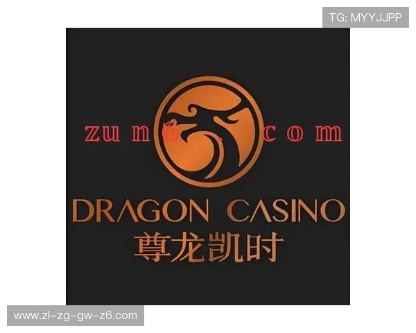 尊龙凯时在线客服支持多语言服务满足不同地区玩家的多样化需求